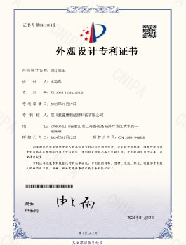 Ceiling Light Support Design Patent Certificate