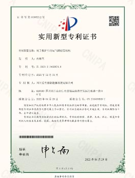 Ipsy20210190 Utility Model Patent Certificate Signature