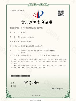 Ipsy20230085 Utility Model Patent Certificate