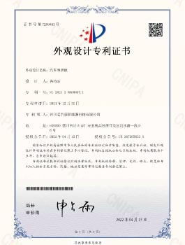 Ipwg20210103 Design Patent Certificate Signature