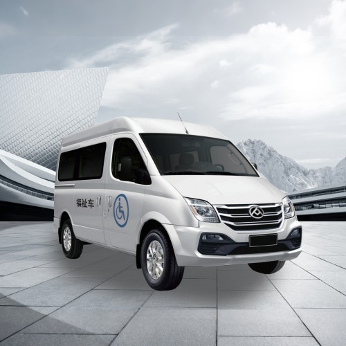 wheelchair accessible vehicle