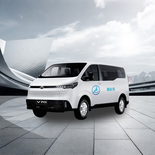 wheelchair accessible vehicle