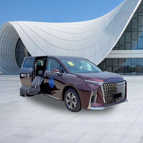 wheelchair accessible vehicle