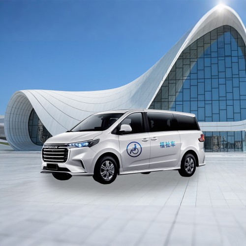 wheelchair accessible vehicle