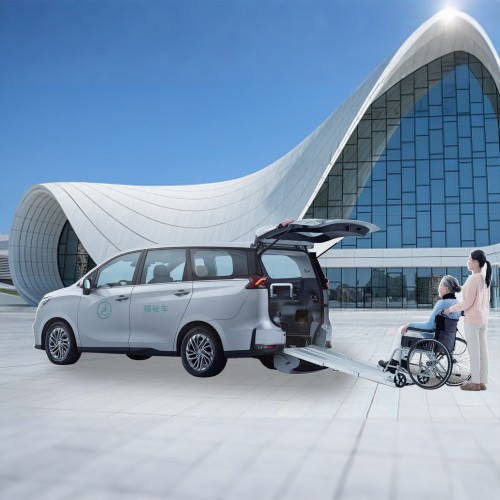 wheelchair accessible vehicle