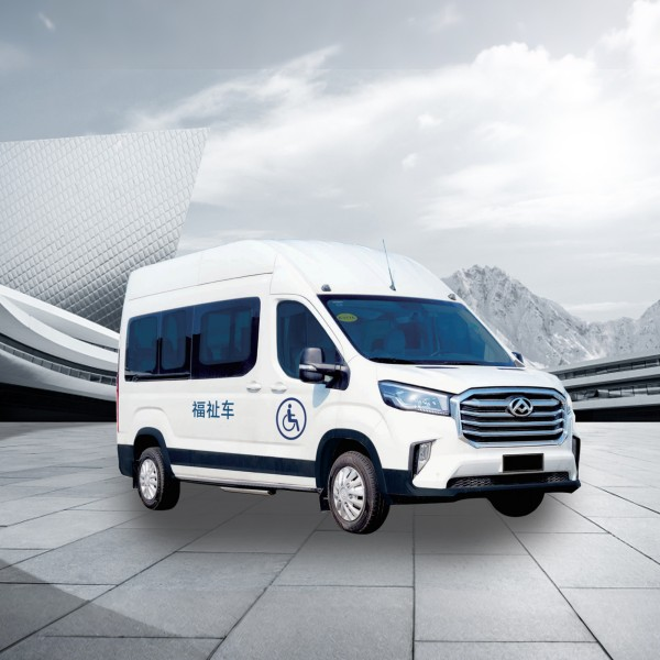 Wheelchair Accessible Vehicle