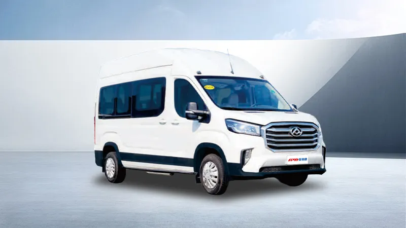 Wheelchair Accessible Vehicle